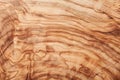 Olive wood texture. High detailed natural background. Royalty Free Stock Photo