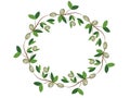 Olive wreath