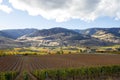 Oliver Okanagan Valley Vineyard British Columbia Royalty Free Stock Photo