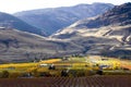 Oliver Okanagan Valley Vineyard British Columbia Royalty Free Stock Photo