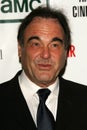 Oliver Stone Royalty Free Stock Photo