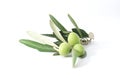 Olives Royalty Free Stock Photo