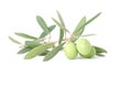 Olives Royalty Free Stock Photo