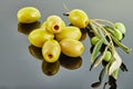 Olives with a branch of an olive tree with fruits lying in a slide on a gray background Royalty Free Stock Photo