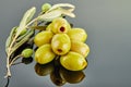 Olives with a branch of an olive tree with fruits lying in a slide on a gray background Royalty Free Stock Photo