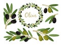 Olives branches and olive crown. Greek olives branch and wreath set, vector summer oil food tree twigs and leaves