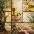 Olives collage Royalty Free Stock Photo