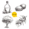 Olives fruits, branch, tree and olive oil bottle sketches set. Hand drawn vector illustrations Royalty Free Stock Photo