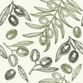 Olives Hand Draw Sketch Background Pattern. Vector Royalty Free Stock Photo