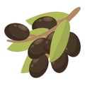Olives icon cartoon vector. Black olive Royalty Free Stock Photo