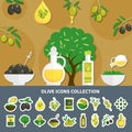 Olives Icons Collection Royalty Free Stock Photo