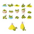 Olives icons set with tree oil branch leaf isolated vector Royalty Free Stock Photo