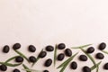 Olives and leaves on white background. Vertical orientation Royalty Free Stock Photo