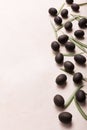 Olives and leaves on white background. Vertical orientation Royalty Free Stock Photo