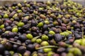 Olives in a mill