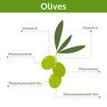 olives nutrient of facts and health benefits, info graphic