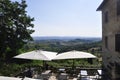 Olives Orchard Panorama from Medieval San Gimignano town. Tuscany region. Italy Royalty Free Stock Photo