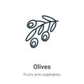 Olives outline vector icon. Thin line black olives icon, flat vector simple element illustration from editable fruits concept