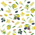 Olives seamless pattern in flat design, set of vector illustrations isolated on white background. Olive fruits, blossom Royalty Free Stock Photo