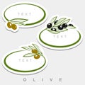 Olives set. Collection olives leaves frame. Vector