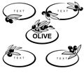 Olives set. Collection olives leaves frame. Vector