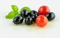 Olives and tomatoes Royalty Free Stock Photo