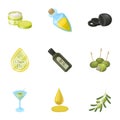 Olives, tree, branch and other products from olives.Olives set collection icons in cartoon style vector symbol stock