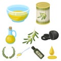 Olives, tree, branch and other products from olives.Olives set collection icons in cartoon style vector symbol stock