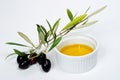 Olives twig and pure olive oil Royalty Free Stock Photo