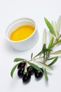Olives twig and pure olive oil Royalty Free Stock Photo