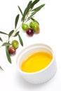 Olives twig and pure olive oil Royalty Free Stock Photo