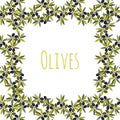 Olives Vector frame. Hand drawn label. Sticker design.