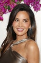 Olivia Munn Royalty Free Stock Photo