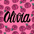 Olivia Name card with lovely pink roses. Vector illustration. Royalty Free Stock Photo