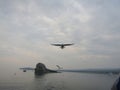 Olkhon Island. Lake Baikal. A seagull in flight. Royalty Free Stock Photo