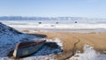Olkhon island in winter: on the shore is an inverted old dilapidated boat on the ice in the distance go three cars Royalty Free Stock Photo