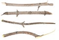 ÃÂ¡ollage dry tree twigs branches isolated on white background. pieces of broken wood plank on white background. close-up Royalty Free Stock Photo
