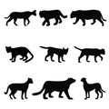 ollection of cat family black silhouettes, felines simple shapes set Royalty Free Stock Photo