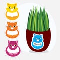 Collection of colorful cats stickers with a flower pot. Inside sticker white background for records. Use as stickers