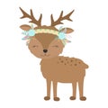 ÃÂ¡ollection of hand-drawn boho cute deer with horns, flowers and feathers.