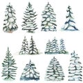 Ollection of watercolor snowy pine trees and firs Royalty Free Stock Photo