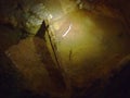 The Olm or Proteus Proteus anguinus, Der Grottenolm or Covjecja ribica - The Grotta Baredine or Baredine cave, Istria