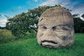 Olmec colossal head in the city of La Venta, Tabasco Royalty Free Stock Photo
