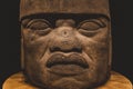 Olmec Colossal Head 2