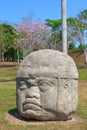 Olmec head, ancient art in tabasco, mexico III Royalty Free Stock Photo