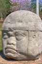 Olmec head, ancient art in tabasco, mexico IV Royalty Free Stock Photo