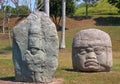 Olmec head, ancient art in tabasco, mexico V Royalty Free Stock Photo