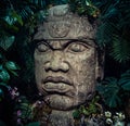 Olmec sculpture carved from stone. Big stone head statue in a jungle