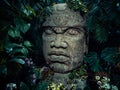 Olmec sculpture carved from stone. Big stone head statue in a jungle