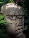 Olmec sculpture carved from stone. Mayan symbol - Big stone head statue in a jungle Royalty Free Stock Photo